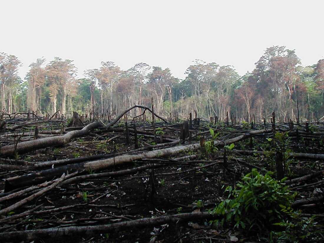 Perusakan habitat