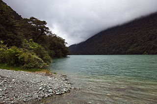 Lake Fergus lake in New Zealand