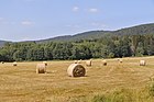 Čeština: Krajina u Nové Huti, části Nemanic English: Nová Huť, part of Nemanice, Czech Republic. Čeština: Landscape by Nová Huť, část Nemanic English: Nová Huť, part of Nemanice, Czech Republic.