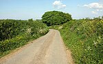 Thumbnail for File:Lane to Pennicknold - geograph.org.uk - 5785546.jpg