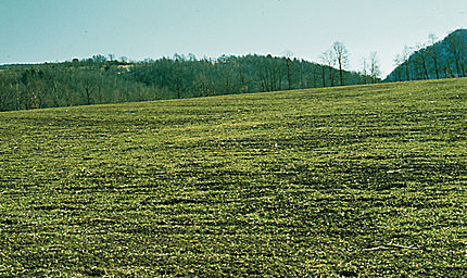 El Vilar - Rupit i Pruit (Osona), 6 de febrer de 1981