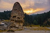 Liberty Cap