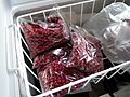 Lingonberries in the freezer.jpg