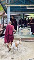 Little monks in Mandala