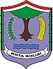 Brasão de Binjai