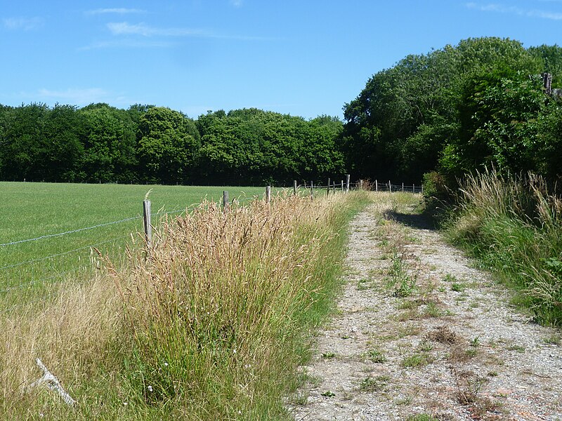 File:Looking towards Pole Wood - geograph.org.uk - 4563294.jpg