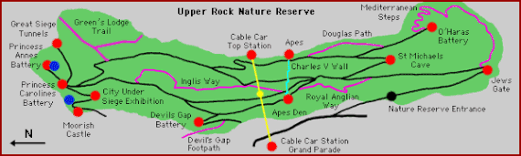 Map of the Upper Rock Nature Reserve. North is to the left. Map of the Upper Rock Nature Reserve.gif