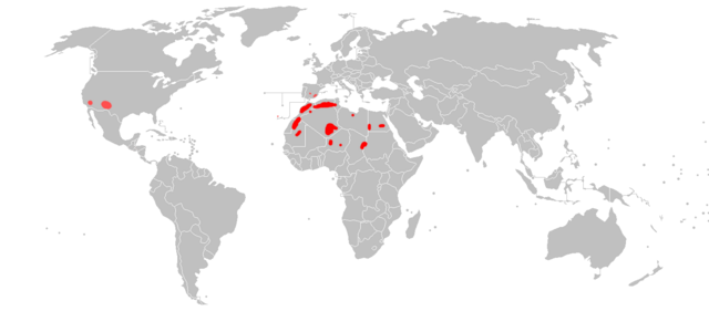 Mapa de distribuição do aoudad. Em vermelho indica a área nativa desta espécie enquanto que em rosa indica os lugares onde foi introduzida.