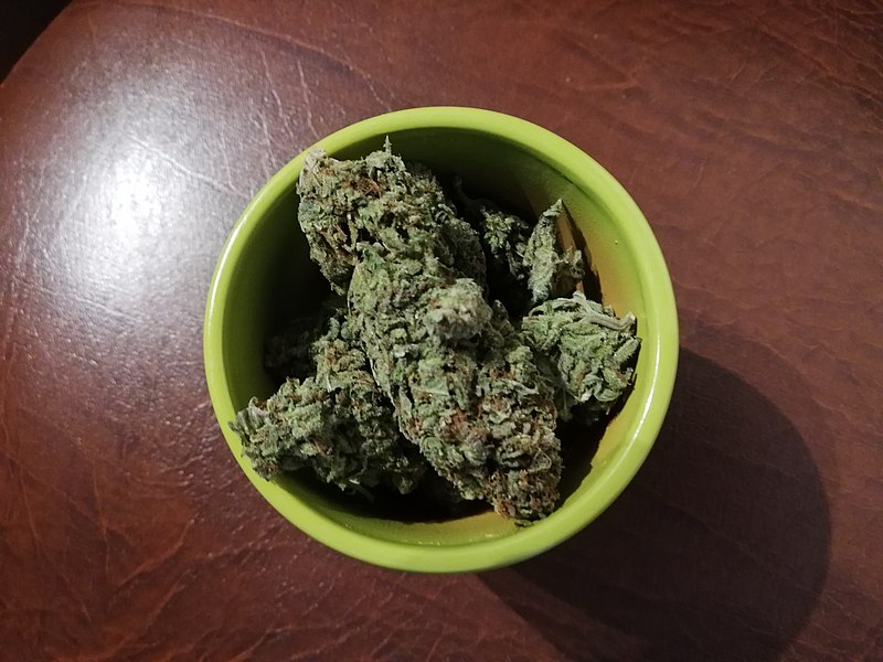 File:Marijuana Buds.jpg