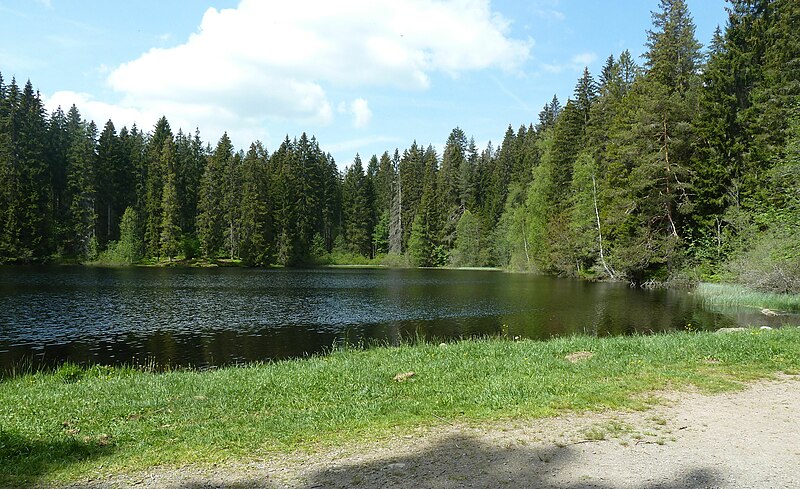 File:Mathisleweiher 01.jpg