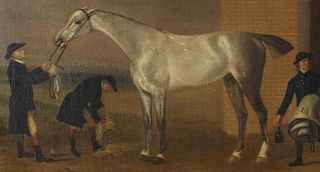 <span class="mw-page-title-main">Medley (horse)</span> British Thoroughbred racehorse