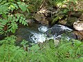 Thumbnail for File:Melincourt Falls Nature Reserve, Wales - 5723318586.jpg