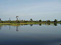 Danau Melintang di Kutai Kartanegara, selatan Kaltim.