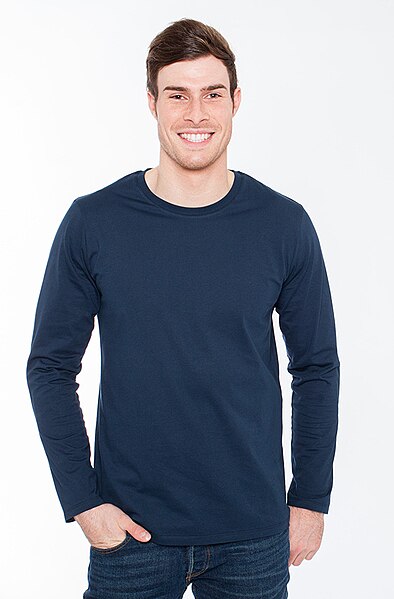 File:Men's long-sleeve T-shirt.jpg