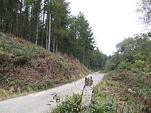 The menhir by the track to Arrallas Menhir by the track to Arrallas^ - geograph.org.uk - 572615.jpg