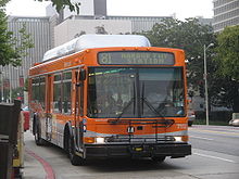 Metro Bus on Line 81 MetroLocalnew.JPG