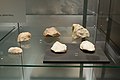 Middle Paleolithic tools