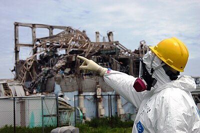 Musiibo-Fukushima 2011