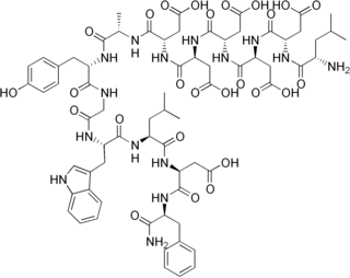 <span class="mw-page-title-main">Minigastrin</span> Chemical compound