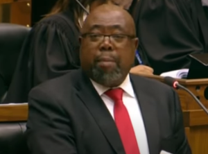 Minister Thulas Nxesi.png