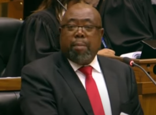 <span class="mw-page-title-main">Thulas Nxesi</span> South African politician (born 1959)