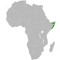 Mirafra somalica distribution map.png