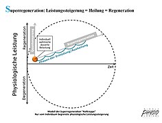 Modell der Superregeneration.jpg
