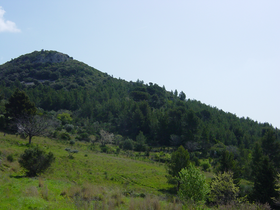Widok na Mont Combe z opuszczonej farmy Touravelle.