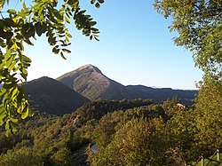 Monte Cervia