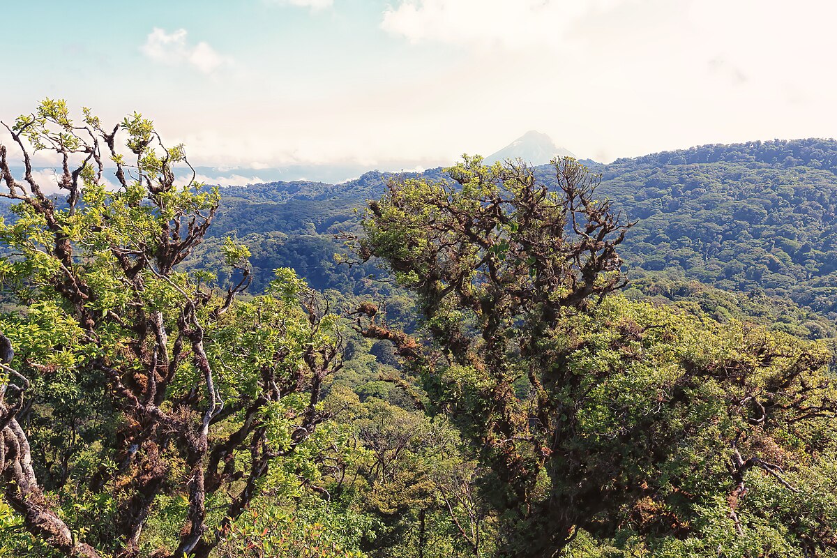 Que hacer en monteverde costa rica