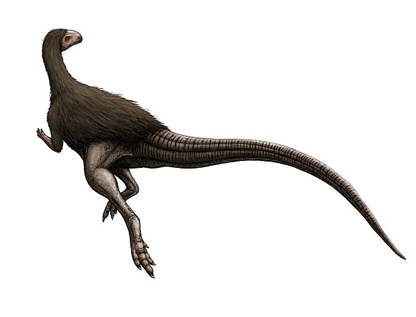 Image: Morrosaurus