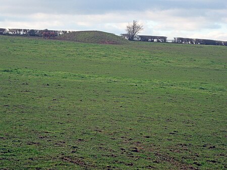 Motte at Wacton