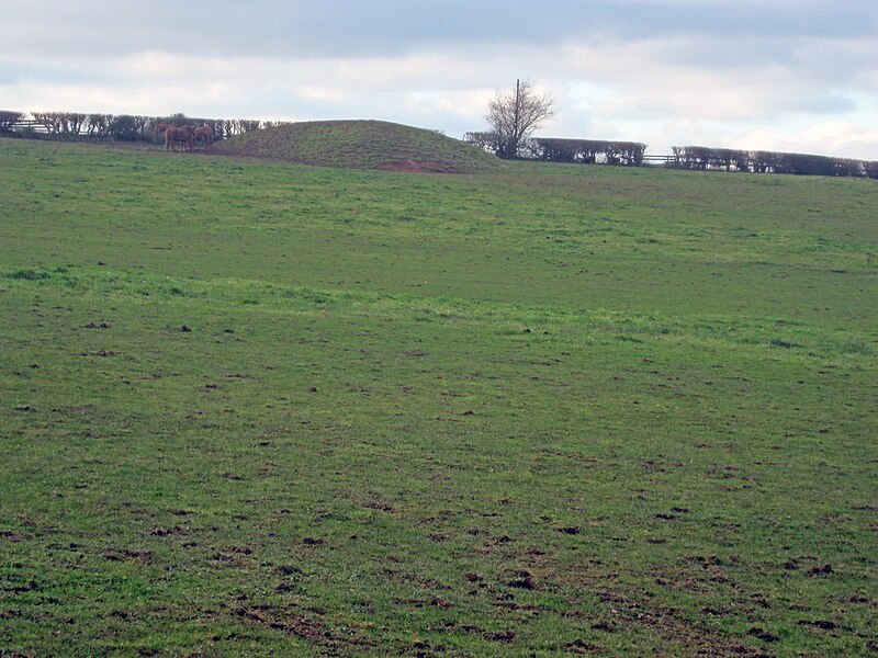 File:Motte at Wacton.jpg