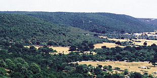 Paisagem montanhosa entre florestas e campos