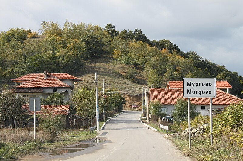 File:Murgovo 2011 PD 6.JPG