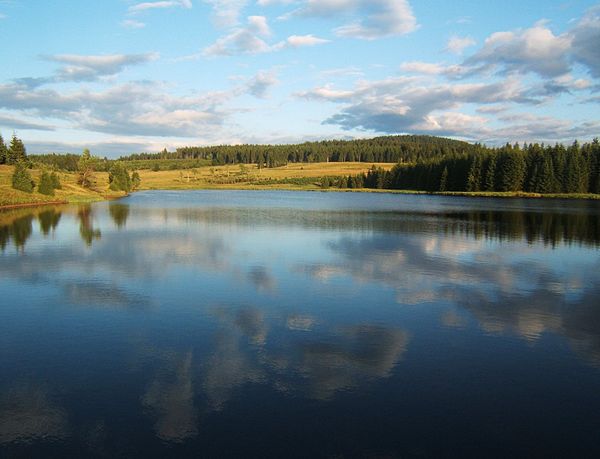 Reservoir near Myslivny