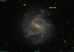 NGC 1073 SDSS.jpg