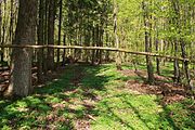 Naturschutzgebiet Breiter Berg bei Haselstein