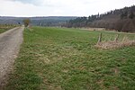 Naturschutzgebiet Lühlingsbachtal