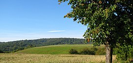 Nausitz Hohe Schrecke.jpg 