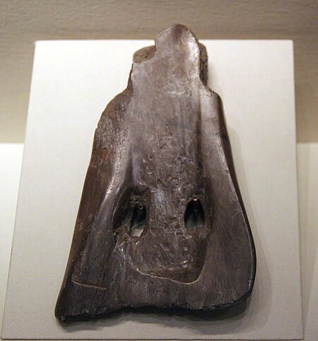 ไฟล์:Neolithic_bone_spade,_Hemudu_Culture,_Zhejiang,_1974.jpg