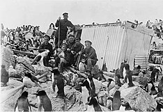 Captain Hooper of the New Zealand Government training ship Amokura with maritime cadets, penguins, and the castaway depot on the Bounty Islands, around 1910. Between 1907 and 1918 the cadets made annual excursions to the island groups to provide them with rough-weather experience. The depot was removed in 1927. New Zealand, Bounty Islands, maritime cadets, 1907-1918.jpg