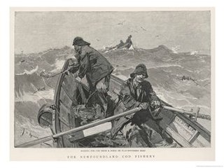 <span class="mw-page-title-main">Cod fishing in Newfoundland</span>