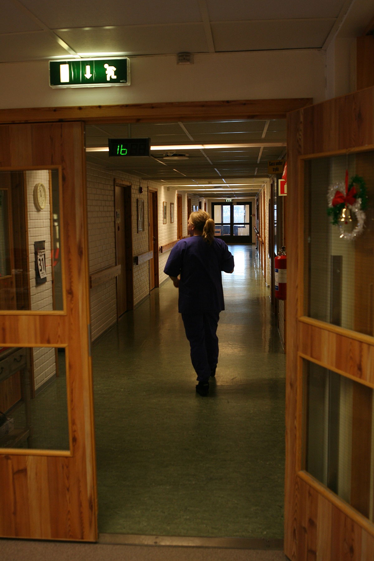 Crisis in nursing is real:' Nurses call for Ontario to strengthen the  profession