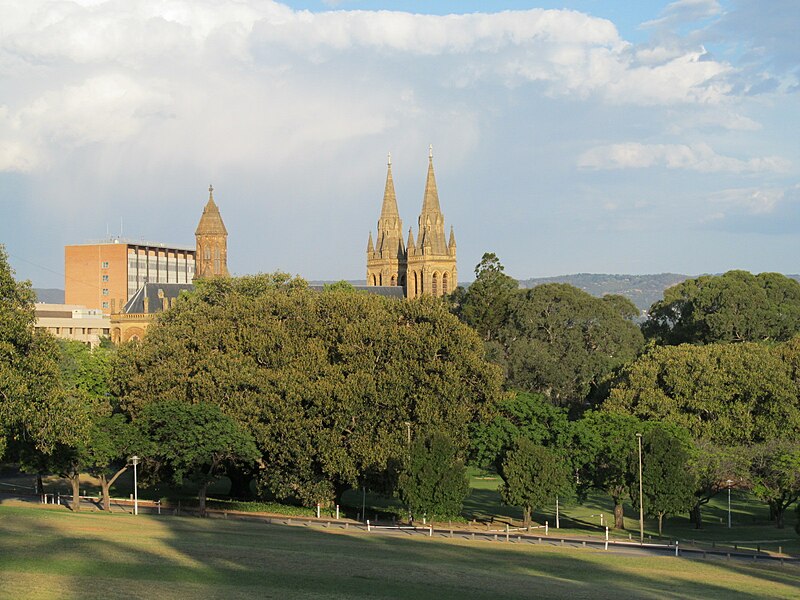 File:OIC n adelaide lights vision towards st peters.jpg