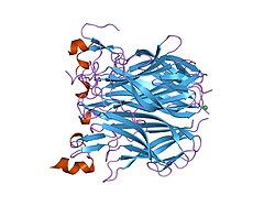 PDB 1xu2 EBI.jpg