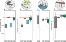 Significant declines in the size of many species of Pacific salmon over the past 30 years are negatively impacting salmon fecundity, nutrient transport, commercial fishery profits, and rural food security. Pacific salmon size declines could result in negative consequences for ecosystems and people.webp