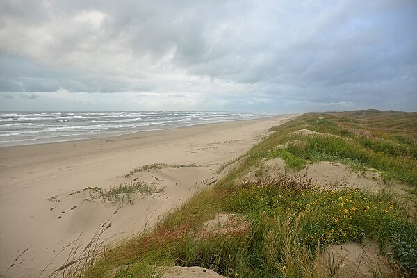 Padre Island National Seashore