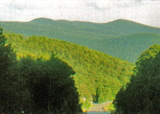 <span class="mw-page-title-main">Panther Mountain (New York)</span> Mountain in New Yorks Catskill range that rose from old meteor crater