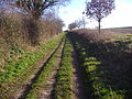 Paston Way near Northrepps 30th Jan 2008 (5).JPG